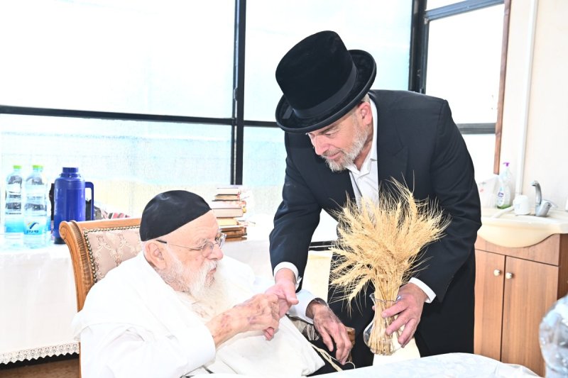 שוקי לרר