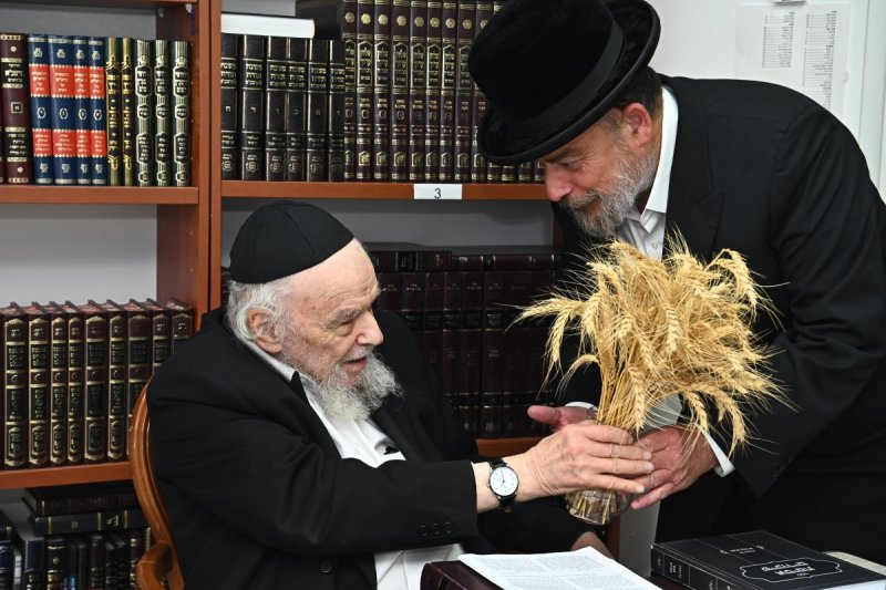 שוקי לרר