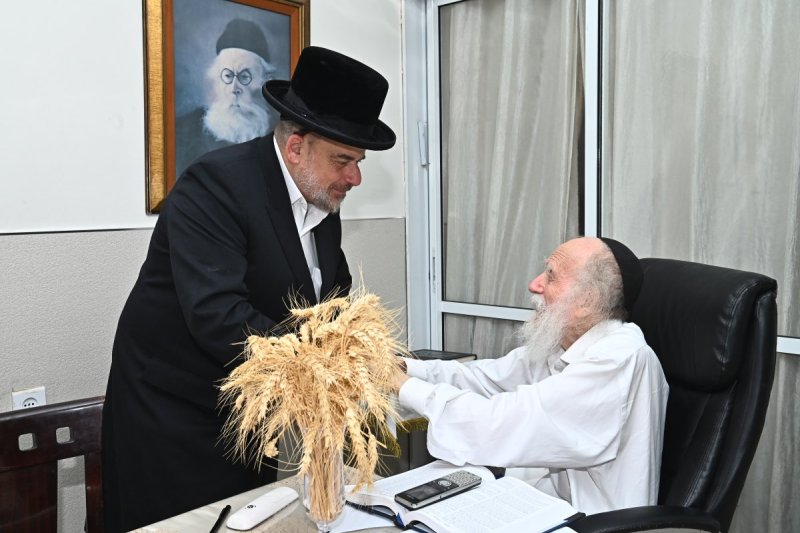 שוקי לרר