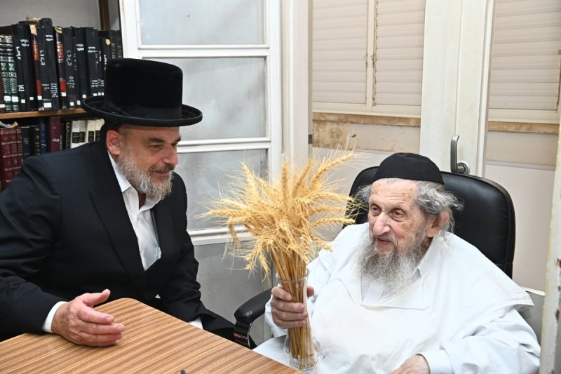 שוקי לרר