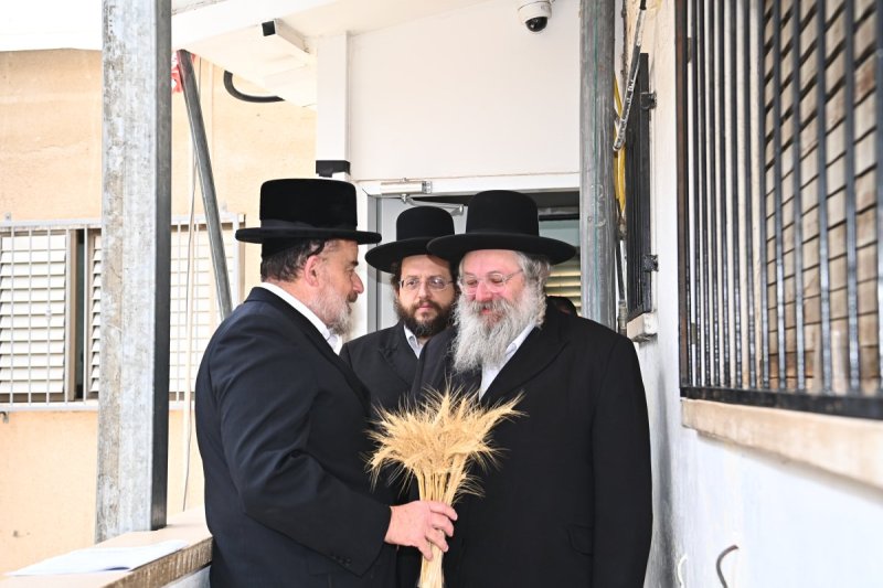 שוקי לרר