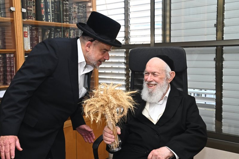 שוקי לרר