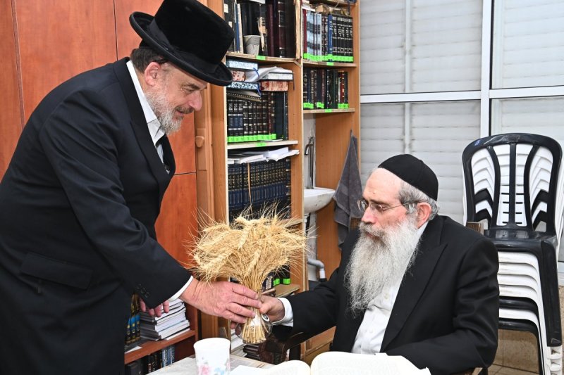שוקי לרר