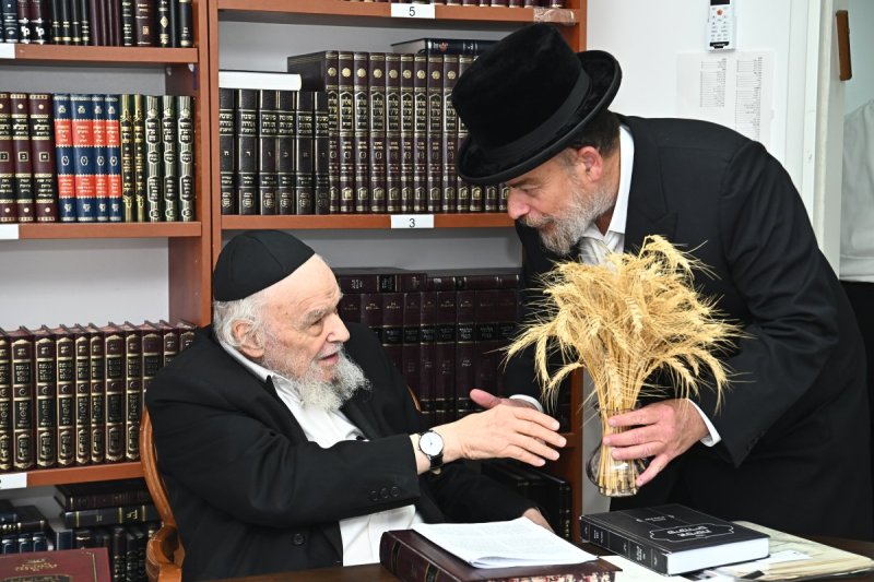 שוקי לרר