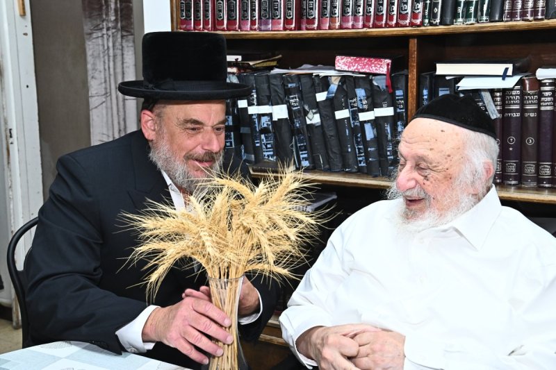 שוקי לרר