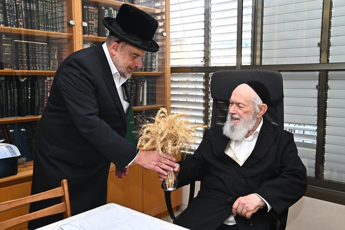 שוקי לרר