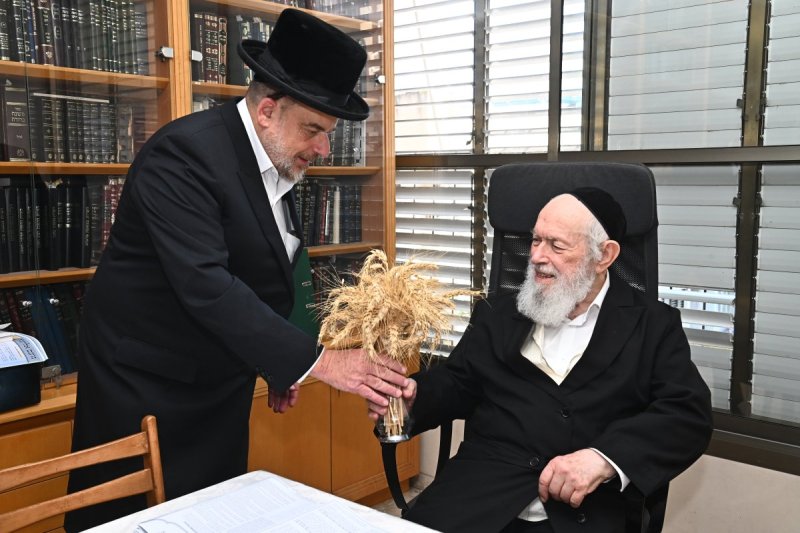 שוקי לרר