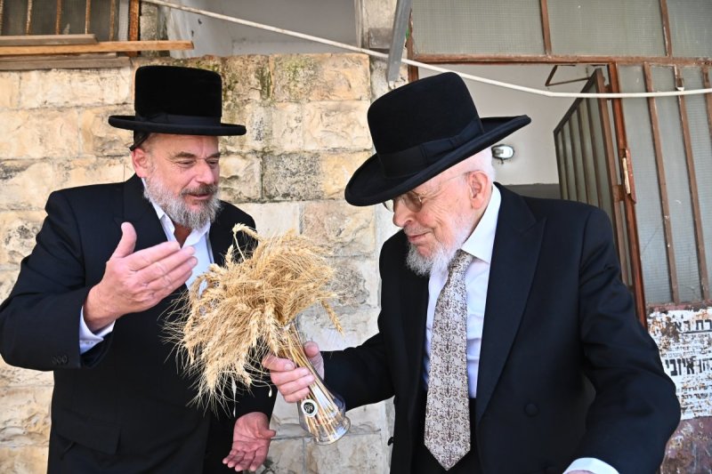שוקי לרר