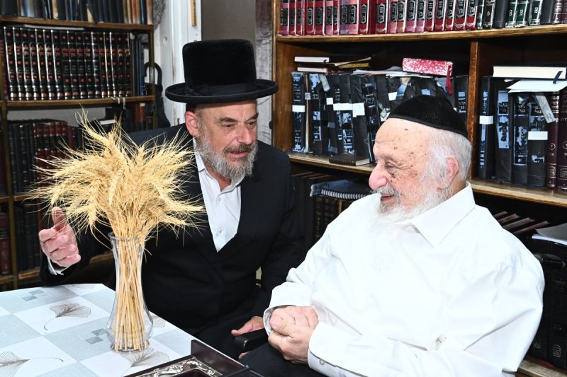 שוקי לרר