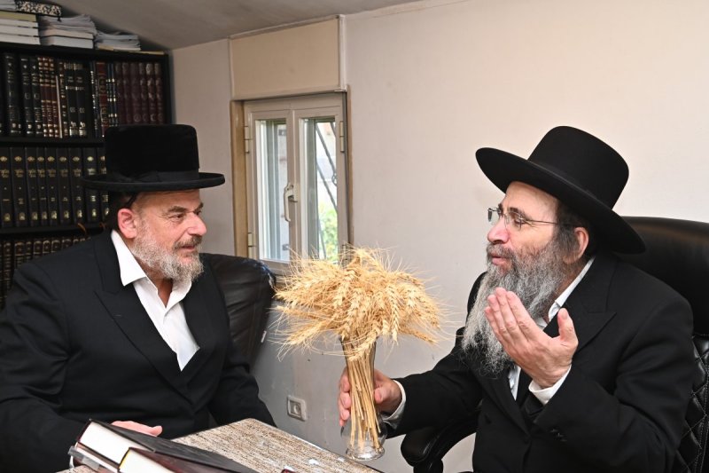 שוקי לרר