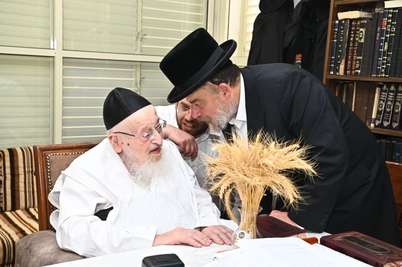 שוקי לרר