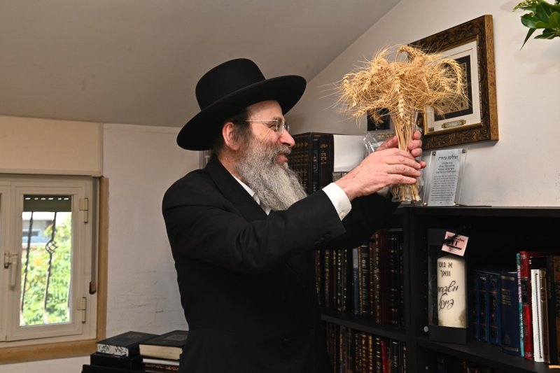 שוקי לרר