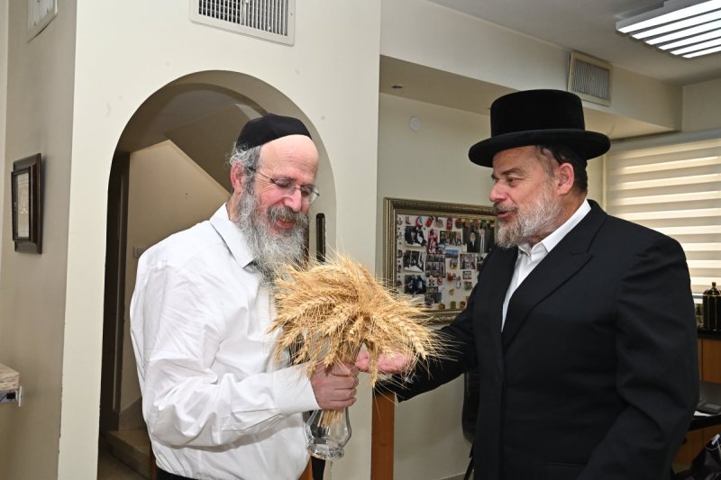 שוקי לרר