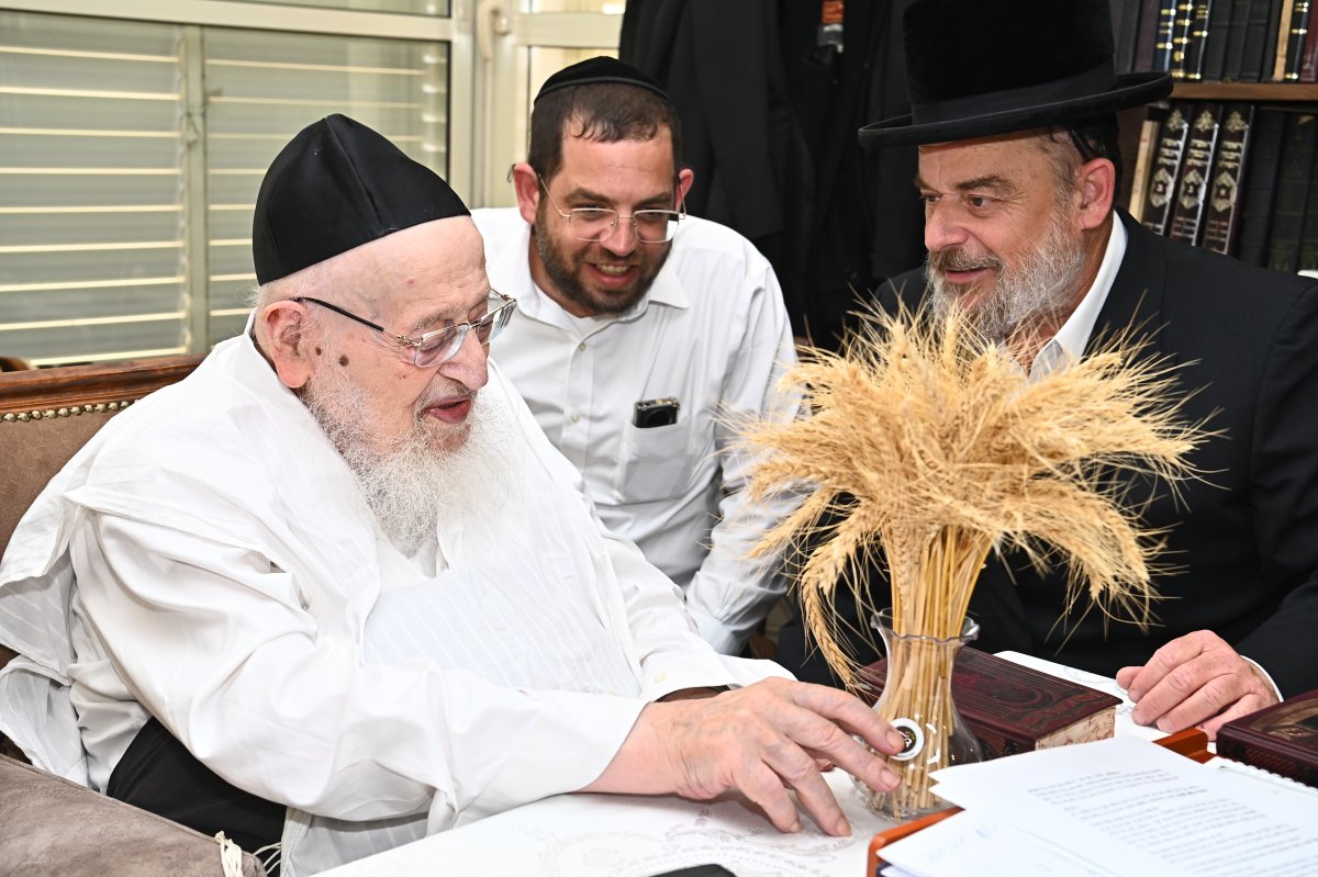 שוקי לרר