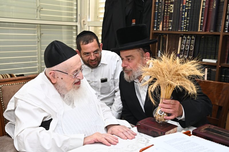 שוקי לרר