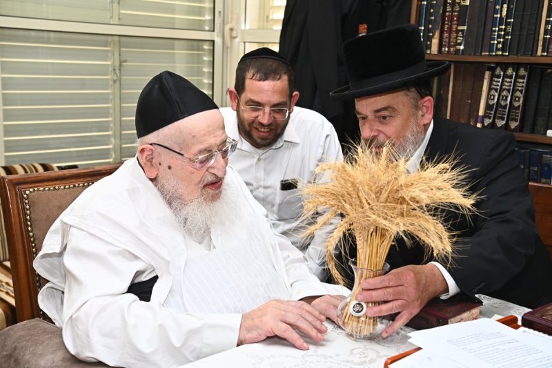 שוקי לרר
