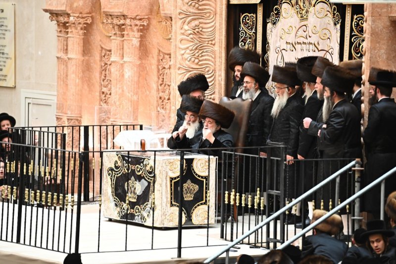 שוקי לרר
