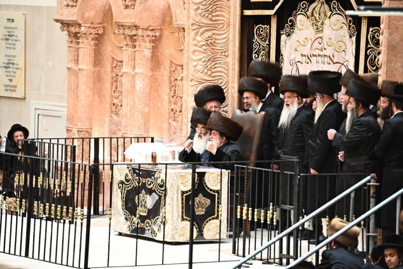 שוקי לרר