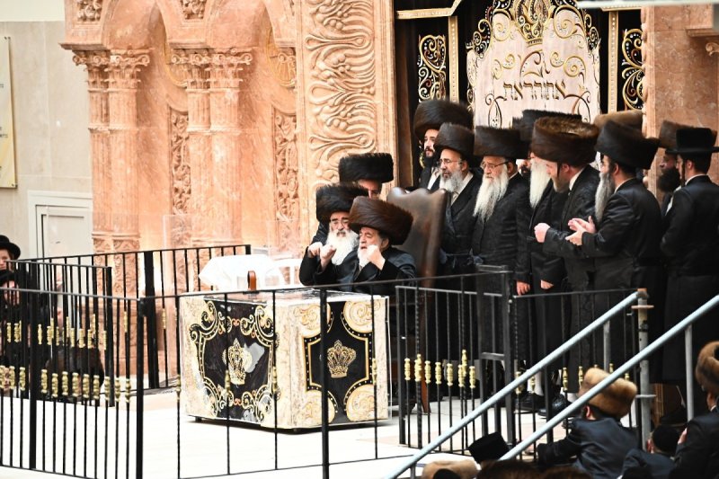 שוקי לרר