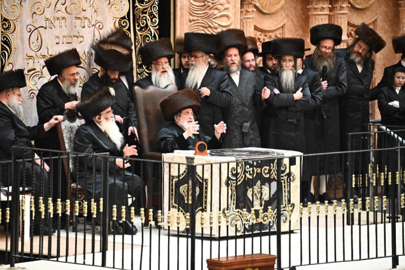 שוקי לרר