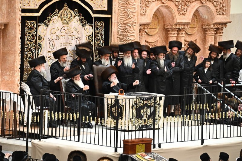 שוקי לרר