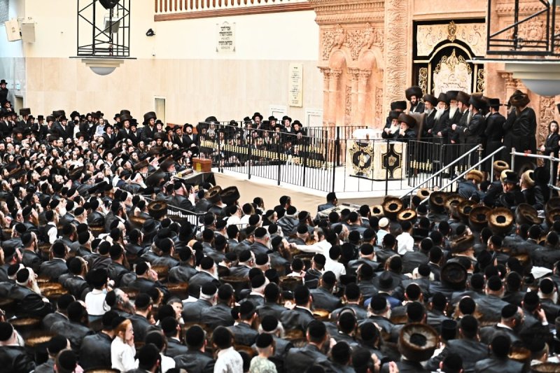 שוקי לרר