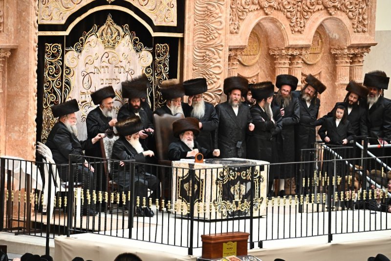 שוקי לרר