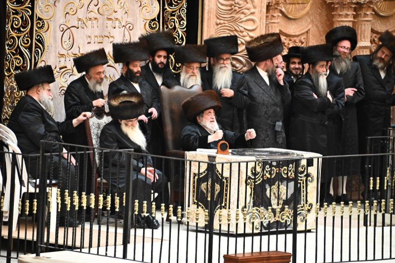 שוקי לרר