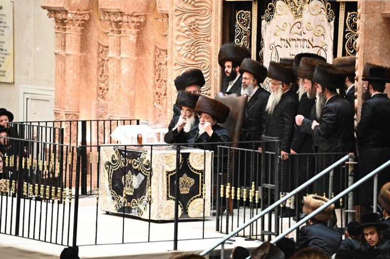 שוקי לרר