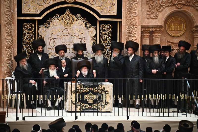שוקי לרר