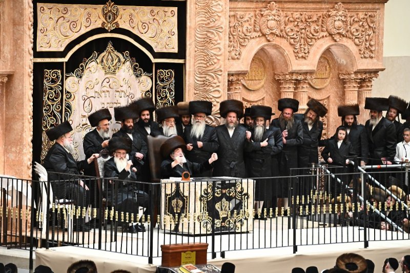 שוקי לרר