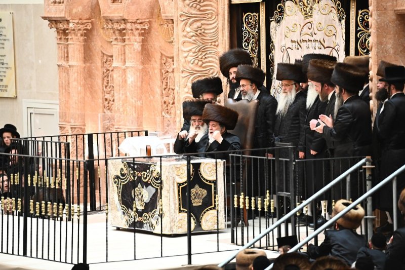 שוקי לרר