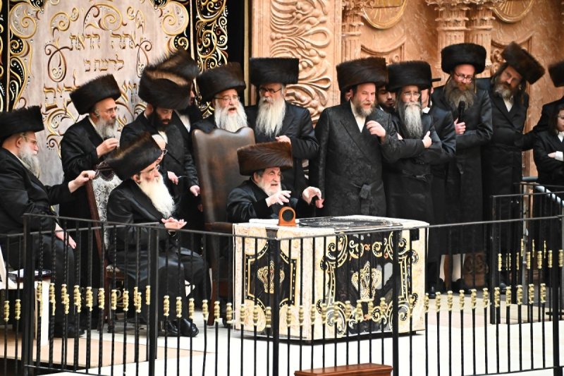 שוקי לרר
