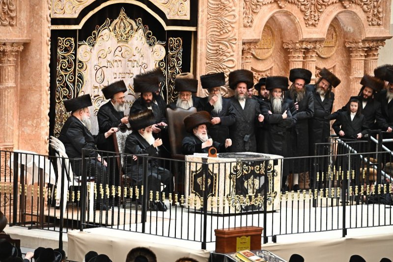 שוקי לרר