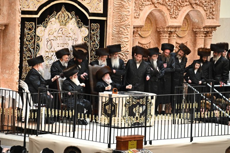 שוקי לרר