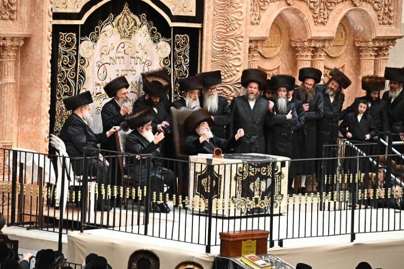 שוקי לרר