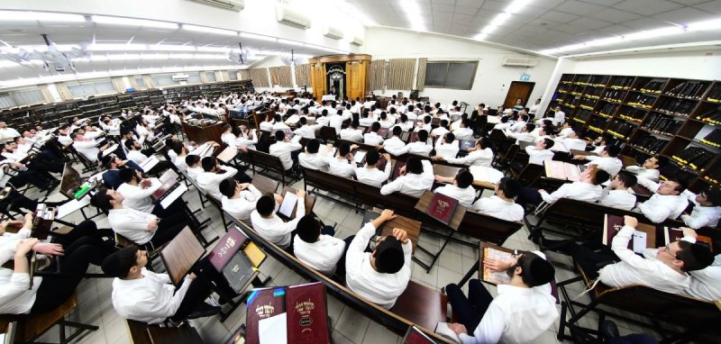 שוקי לרר