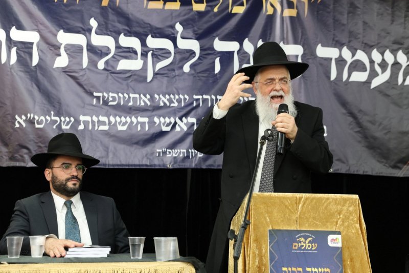 יעקב כהן