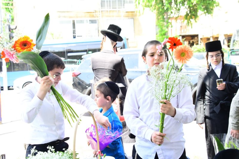 שוקי לרר