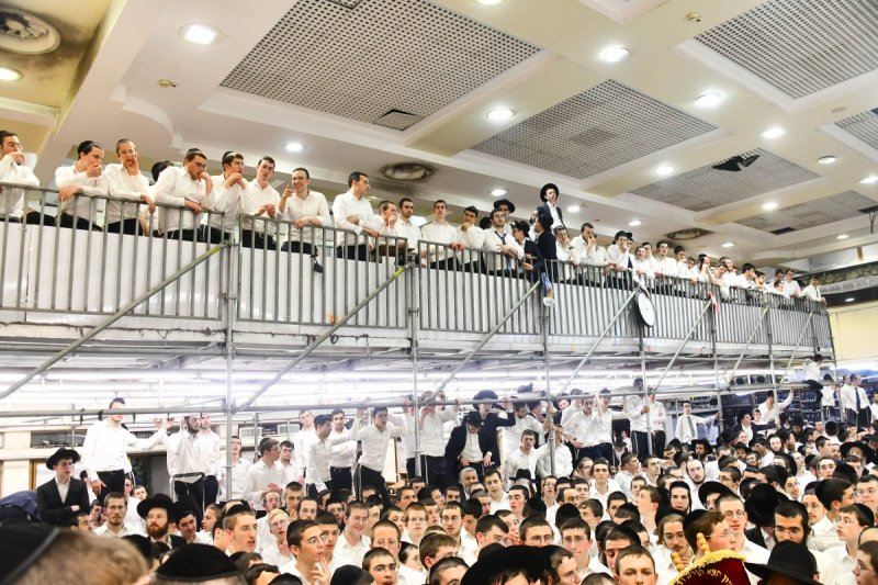 שוקי לרר