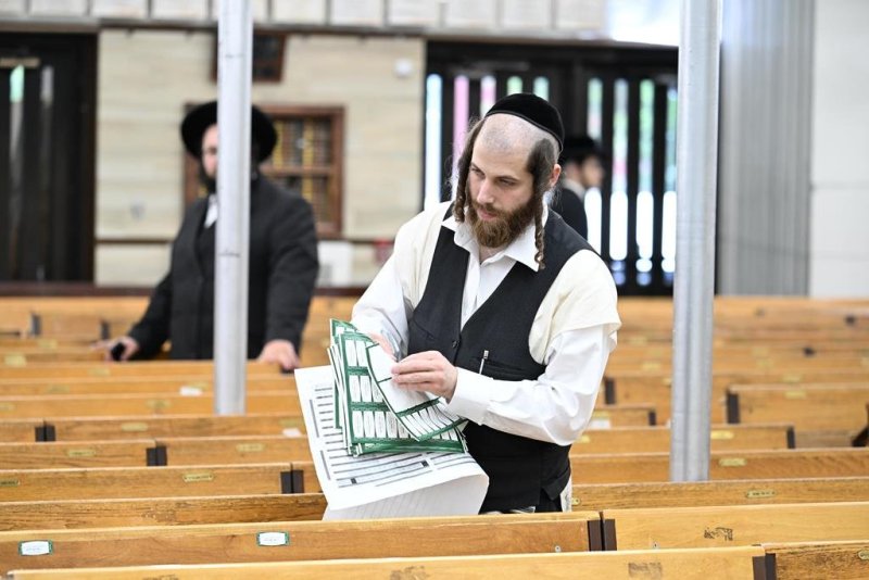 י. שטיין