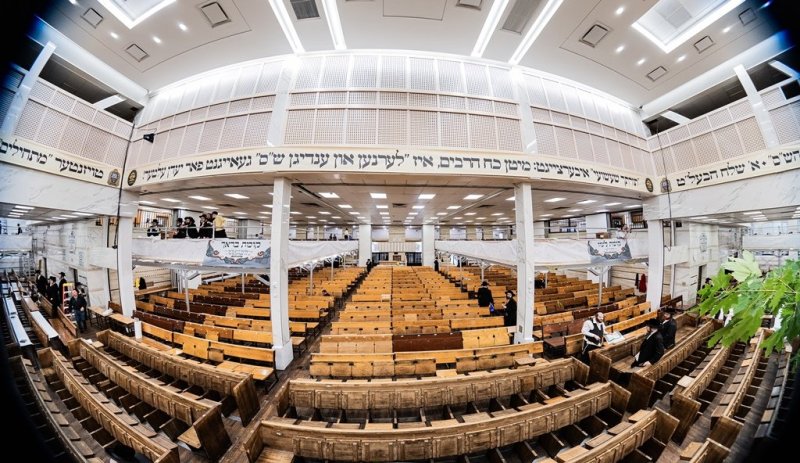 י. שטיין