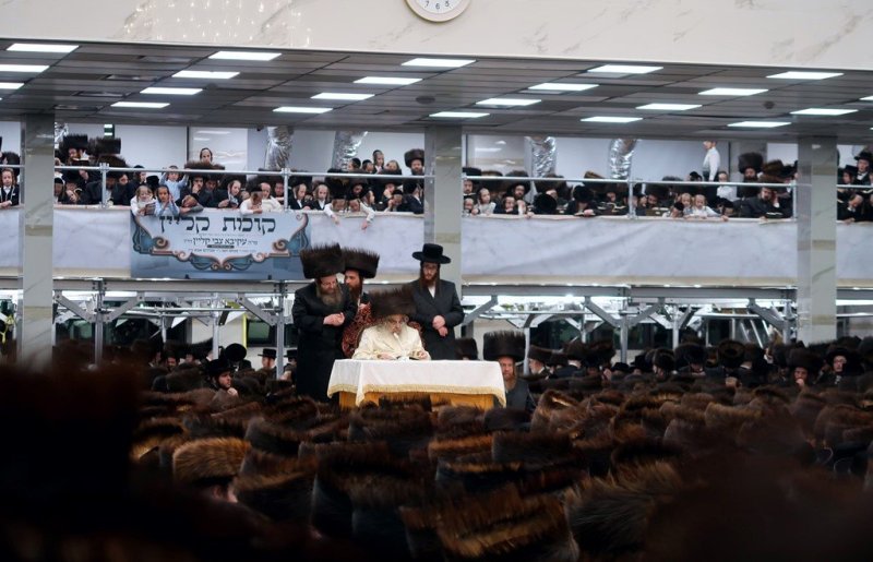 י. שטיין