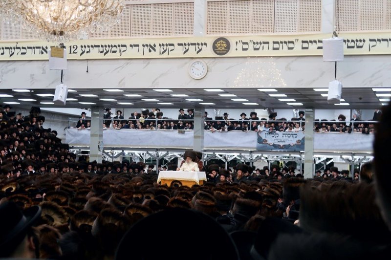 י. שטיין