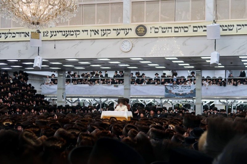 י. שטיין