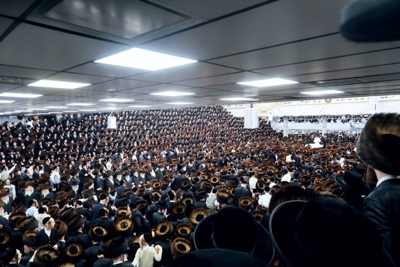 י. שטיין