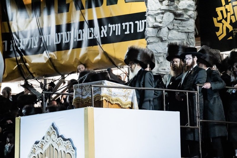 י. שטיין