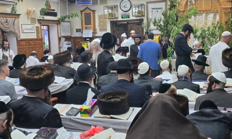 לקראת היציאה לדרכים: 'בחדרי חרדים' מגיש מדריך נסיעה לאומן 