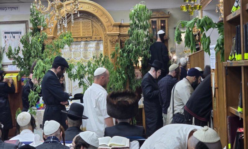 למעלה מ-3,000 מחסידי ברסלב שהו בימי חג השבועות באומן 