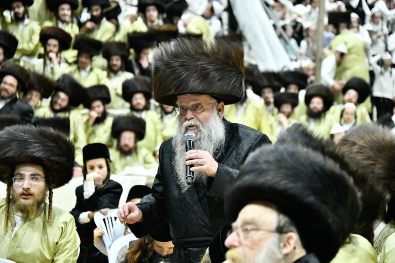 שוקי לרר